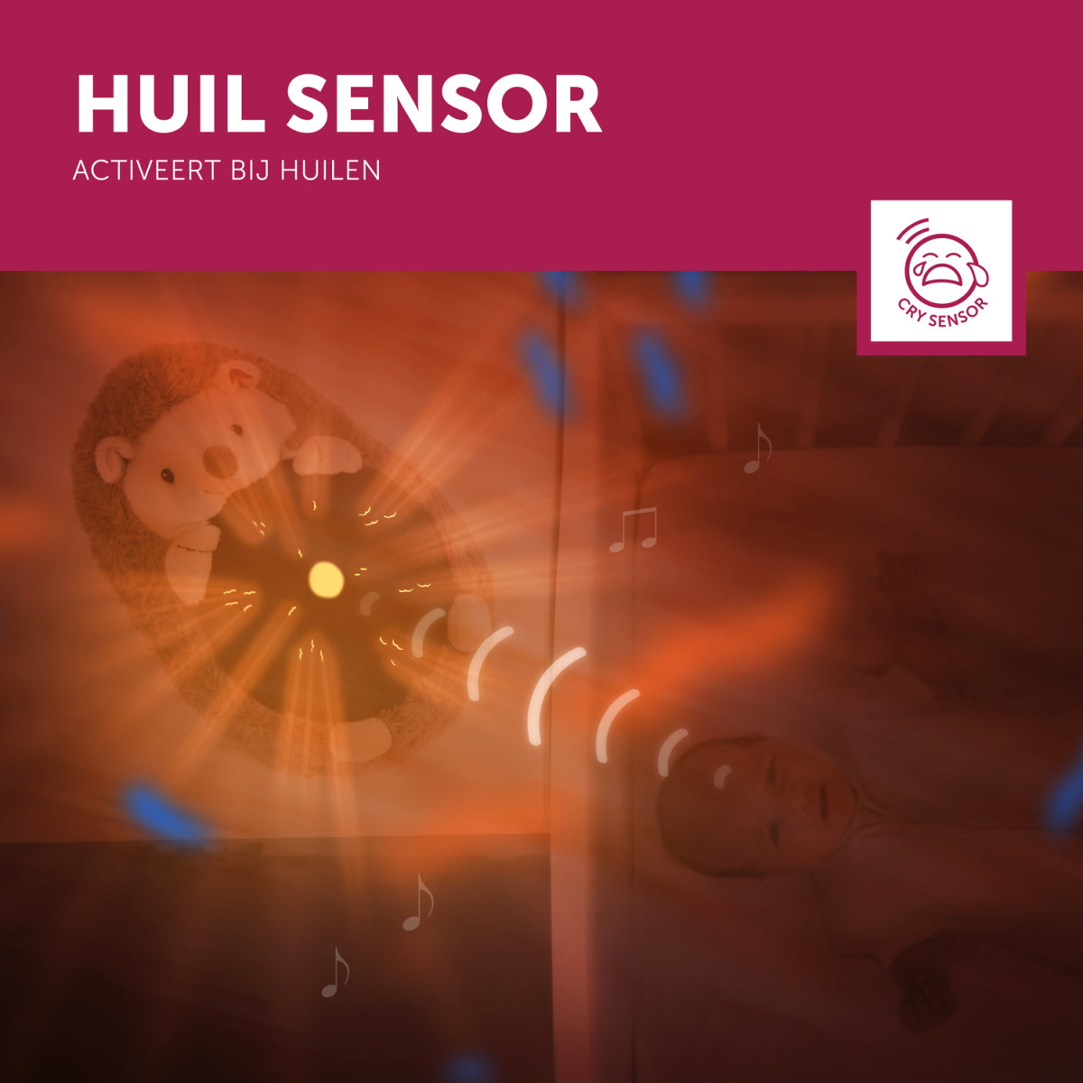 Zazu Henry de Egel Zonsondergang Projector