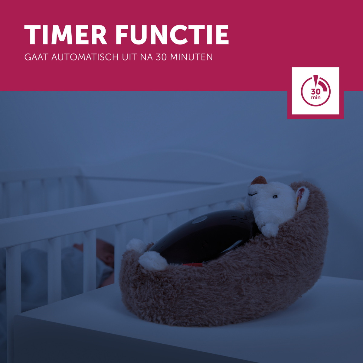 Zazu Henry de Egel Zonsondergang Projector