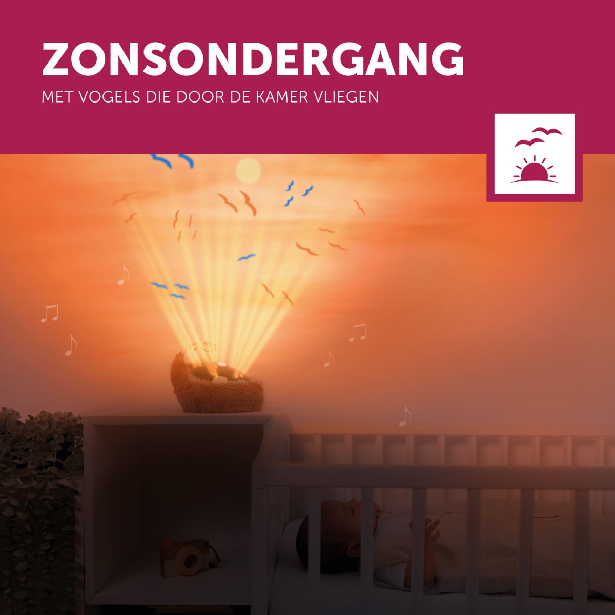 Zazu Henry de Egel Zonsondergang Projector