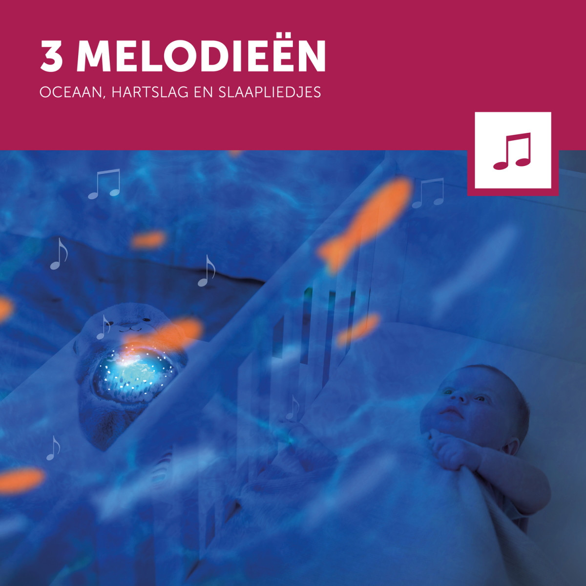 Zazu Otto de Zeeotter Ocean Projector