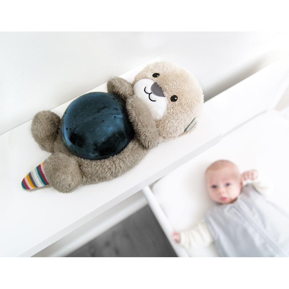 Zazu Otto de Zeeotter Ocean Projector