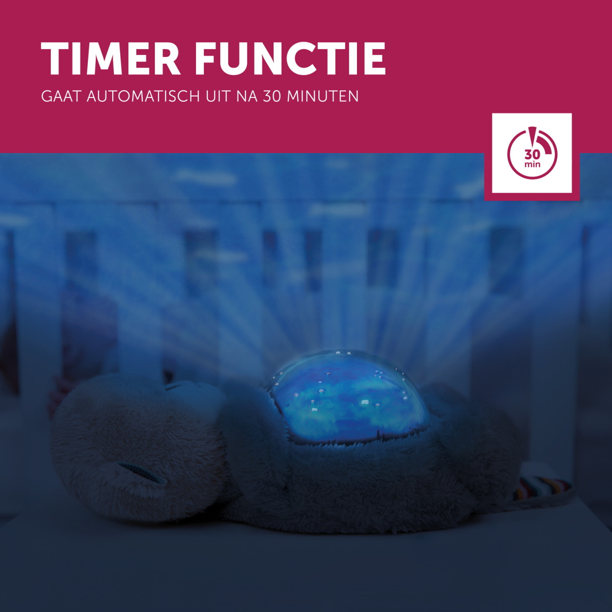 Zazu Otto de Zeeotter Ocean Projector