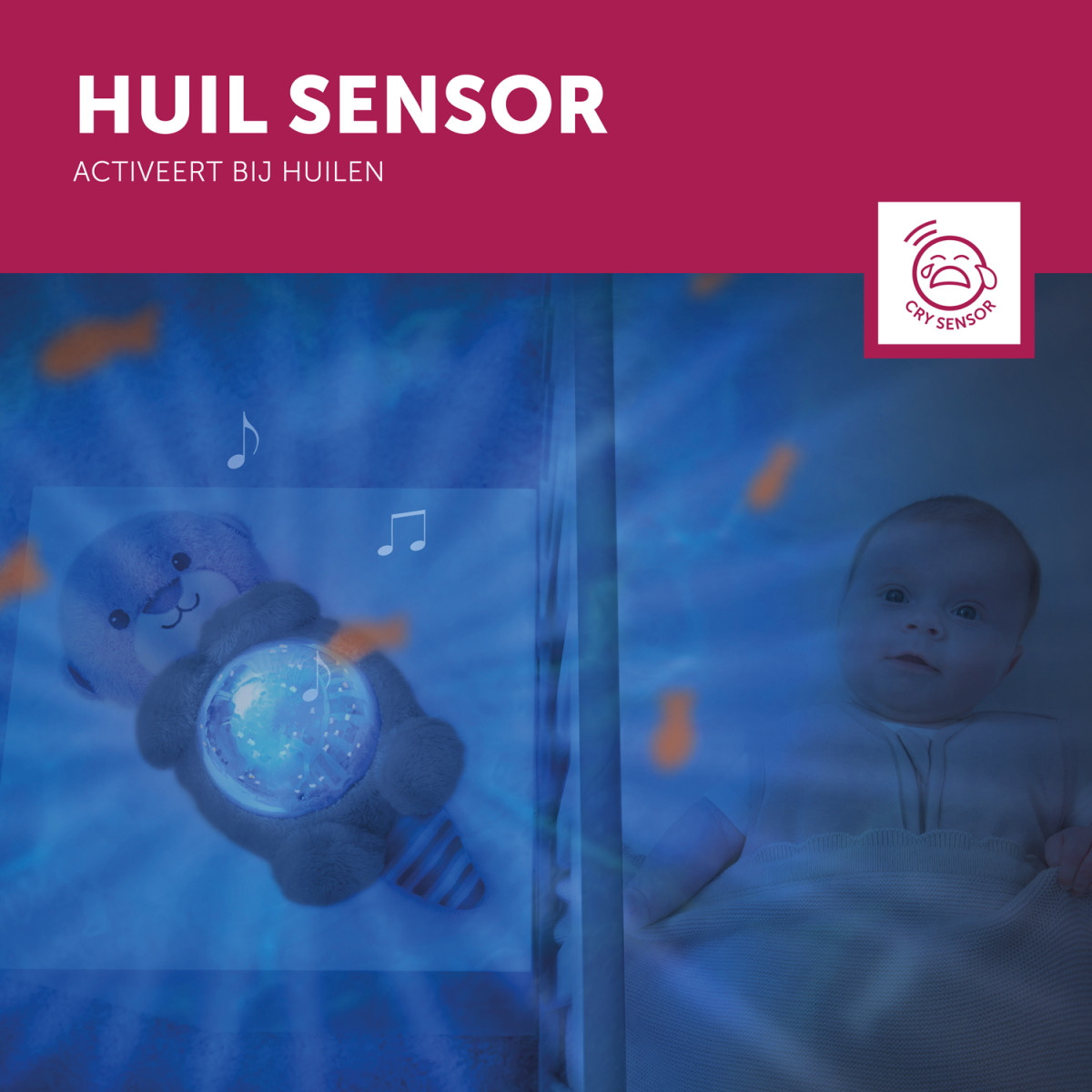 Zazu Otto de Zeeotter Ocean Projector