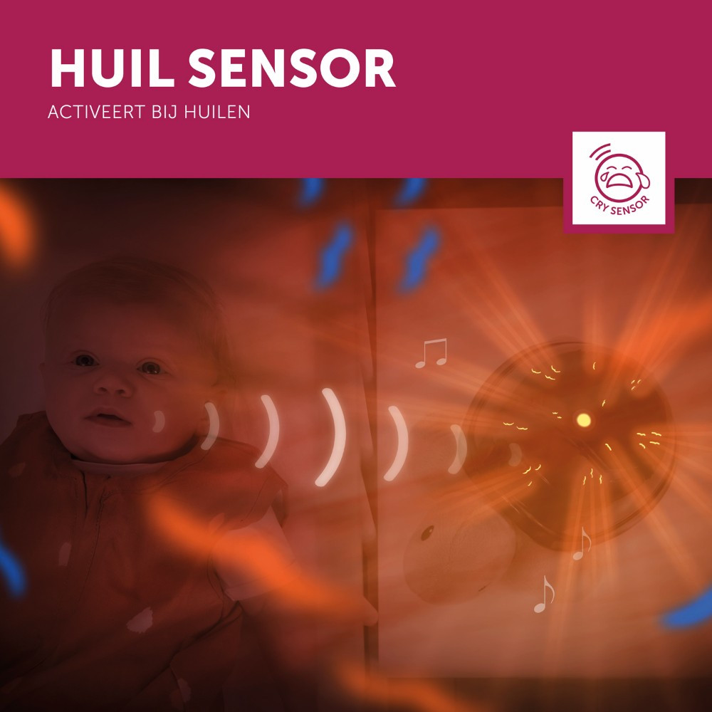 Zazu Tim de Schildpad Zonsondergang Projector