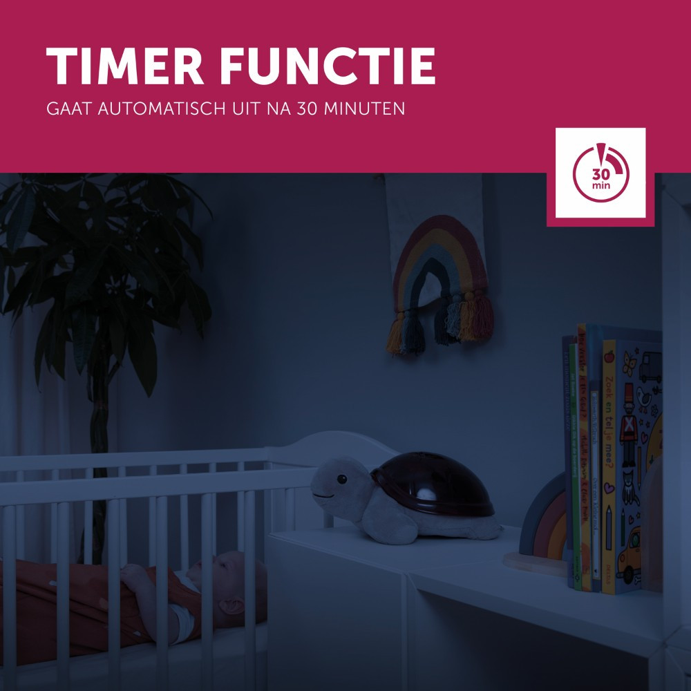 Zazu Tim de Schildpad Zonsondergang Projector