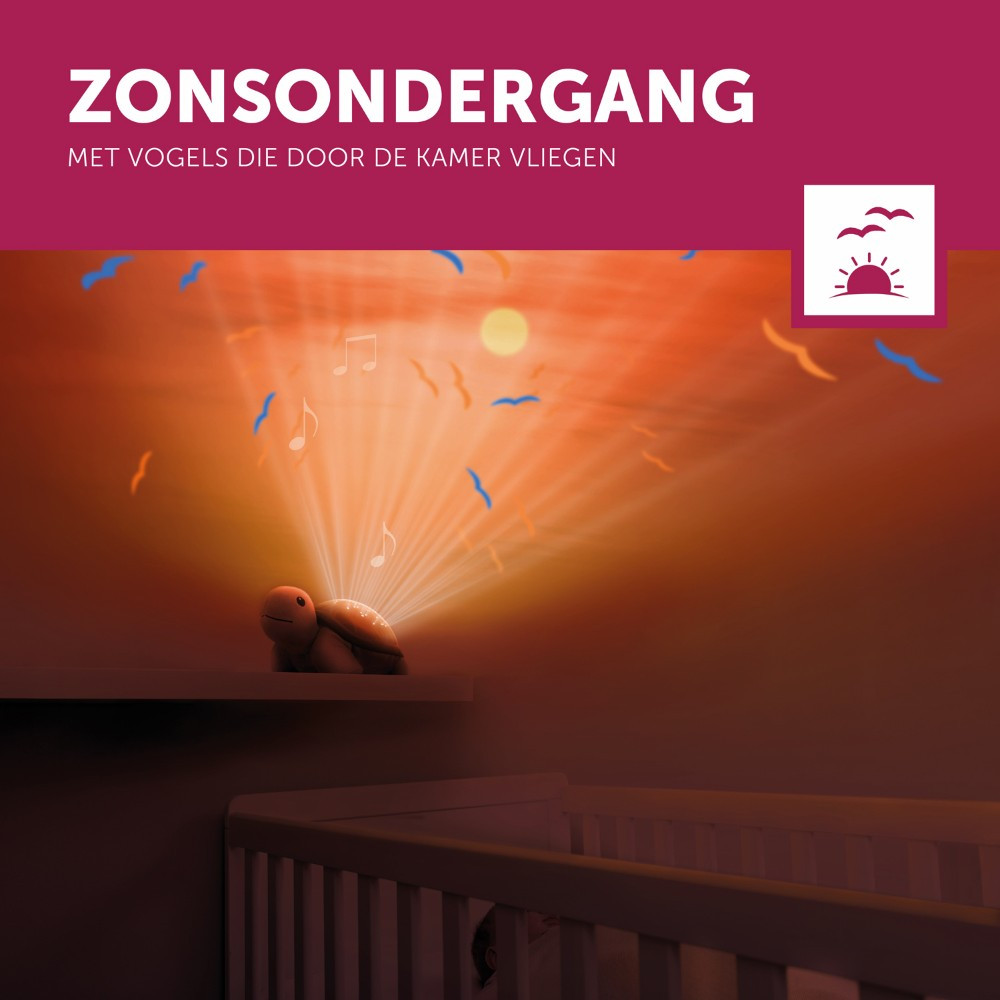 Zazu Tim de Schildpad Zonsondergang Projector