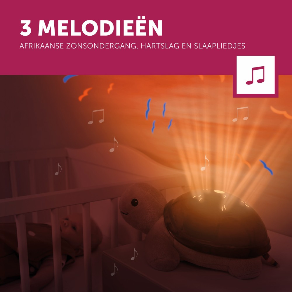 Zazu Tim de Schildpad Zonsondergang Projector