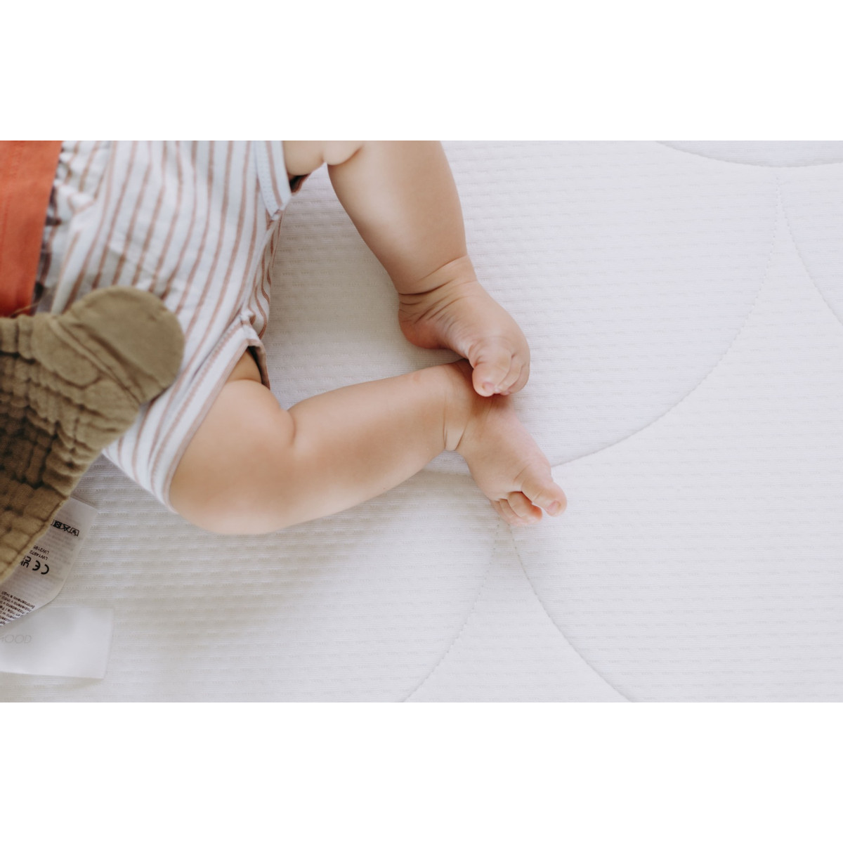 ZZZOO Beer 60 x 120 x 11 cm Ledikantmatras