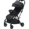 Ding Remi Black Wandelwagen DI-902829