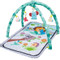 Eco Toys Animals Groen Speelkleed met Muziek CH93141