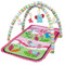 Eco Toys Animals Roze Speelkleed met Muziek CH93143