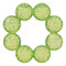Infantino Green Watergevulde Bijtring BK-216559