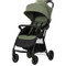 Lorelli Fresh Green Wandelwagen 1002194 2504
