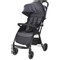 Lorelli Fresh Grey Wandelwagen 1002194-2406