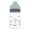 Lorelli Mint Green 250 ml Brede Hals Fles 10200710004