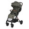 Lorelli Ribera Green Aspen Wandelwagen 1002190-2504