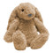 Zazu Ro het Konijn Beige Knuffel met Nachtlampje ZA-RO-01