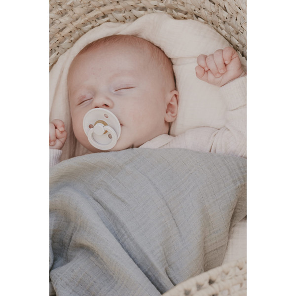 Bibs Ivory/Blush 0-6 mnd 2 Stuks Fopspeen 110256