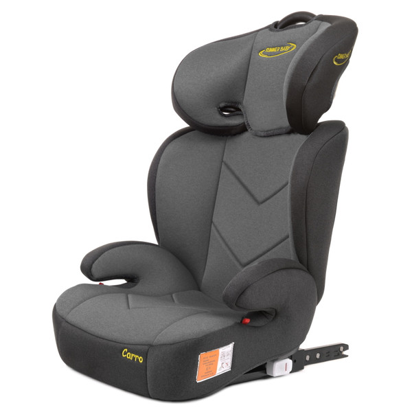 Summer Baby Grey 15-36 kg Autostoel | MamaLoes