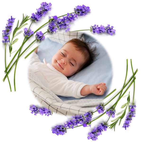 Baby Ono Cherry Roze Lavendel Pittenzak 796/01