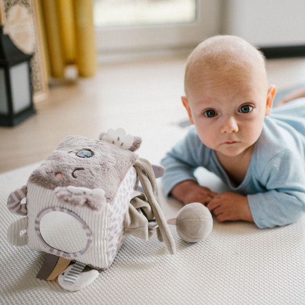 Baby Ono Koala Coco Activiteitenkubus 1637