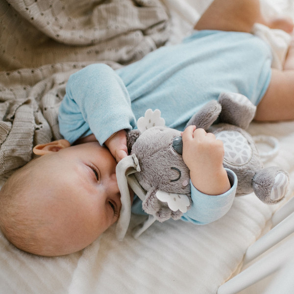 Baby Ono Koala Coco Muziekdoosje 1632