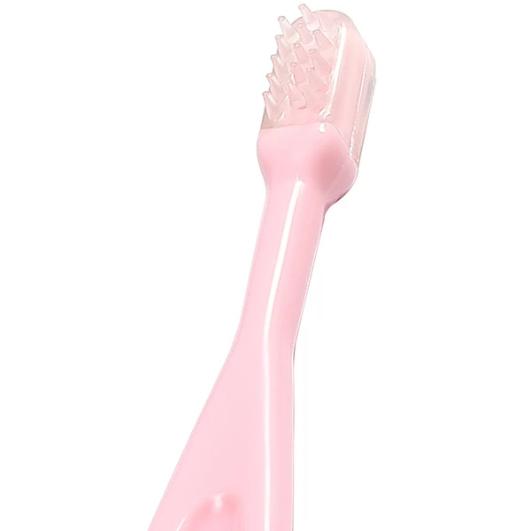 Baby Ono Roze Tandenborstel Set 550/01