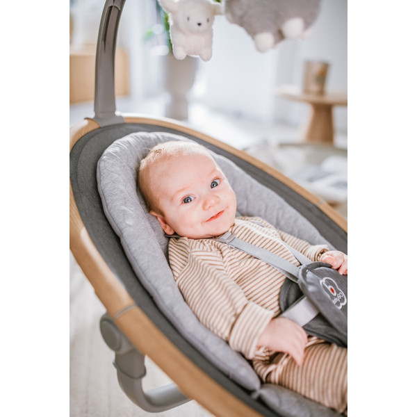 BabyGo Homey Nature/Grey Swing Babyschommel 190-3