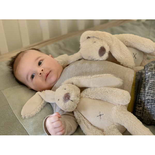 Happy Horse Rabbit Richie Beige 28 cm No. 1 Knuffel 133264