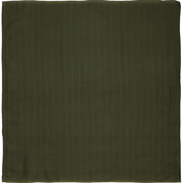 Blush & Blossom Dinosaurus 70 x 70 cm 6 Stuks Hydrofiel Luiers TR-BB443413