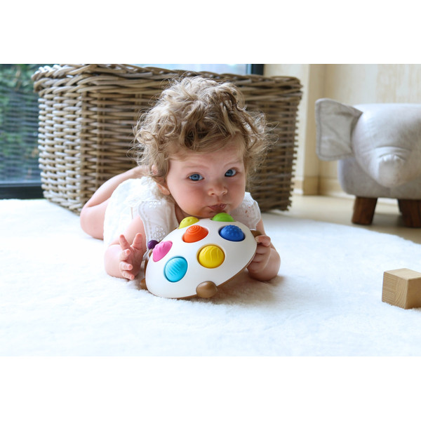 Bo Jungle Eddy de Popping Egel Educatief Speelgoed B925400