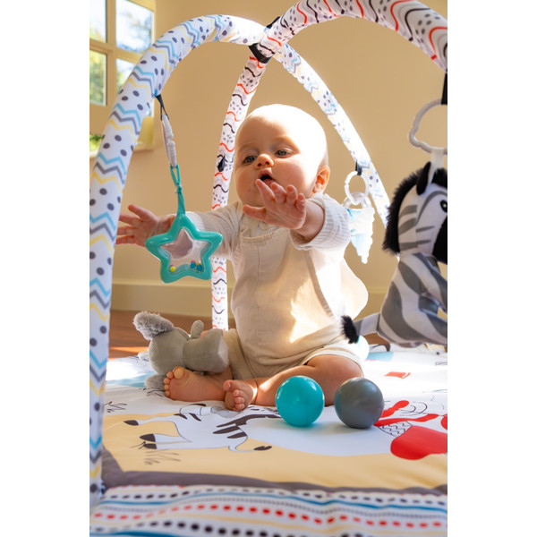 Bo Jungle Midnight Expedition Play Gym Speelkleed/Ballenbak