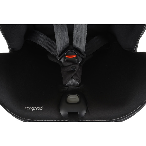 Cangaroo Castor Black 40-150 cm 360° i-Size Autostoel 110925