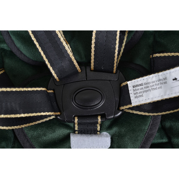 Cangaroo Clarissa Green Babyschommel 110580
