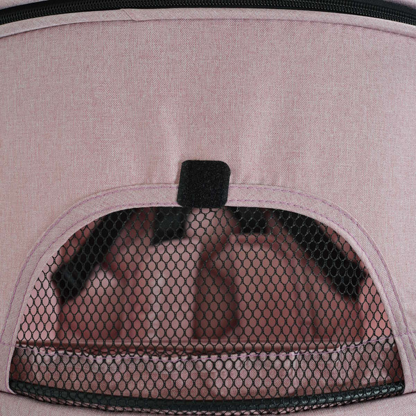Cangaroo London Pink Wandelwagen 110911