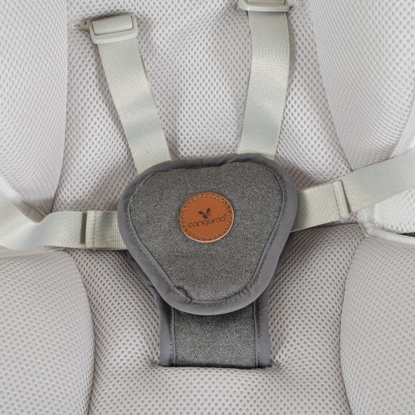 Cangaroo Triumph Grey Elektrische Babyschommel 111343
