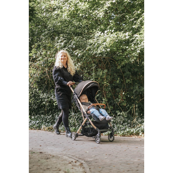 Ding Vivo Grey/Silver Wandelwagen DI-381702