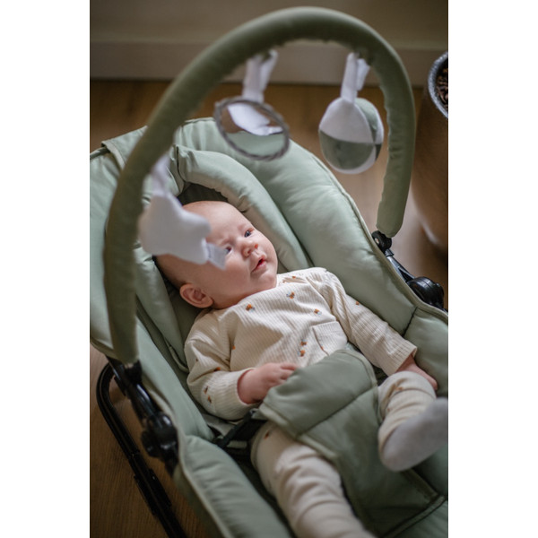 Ding Viggo Green Wipstoel