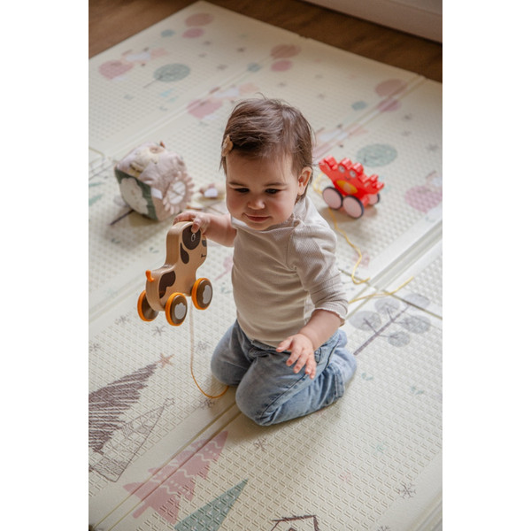 Eco Toys 200 x 150 cm Beer Omkeerbare Speelmat