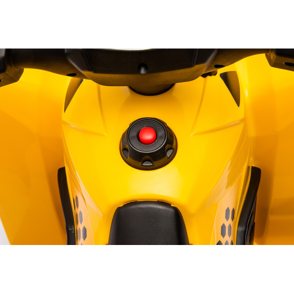 Eco Toys CAT Elektrische Kinder Quad H6
