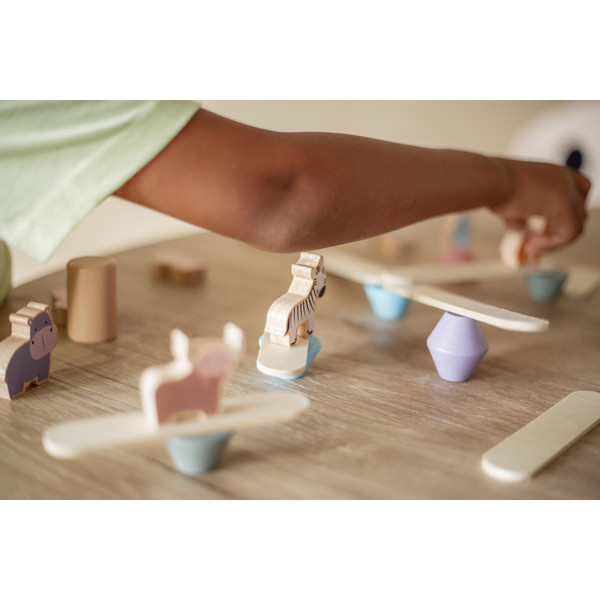 Eco Toys Jungle Houten Balansspel HC655721