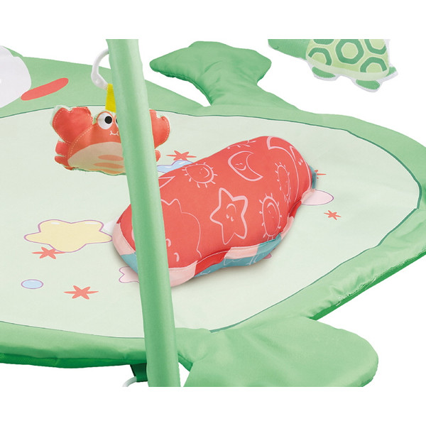 Eco Toys Kikker Activity Gym Speelkleed HC506649