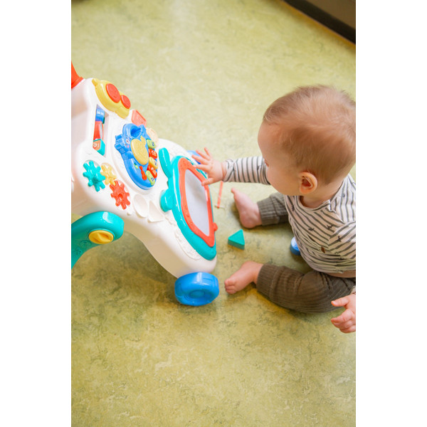 Eco Toys Koala Loopwagen met Muziek CH80819