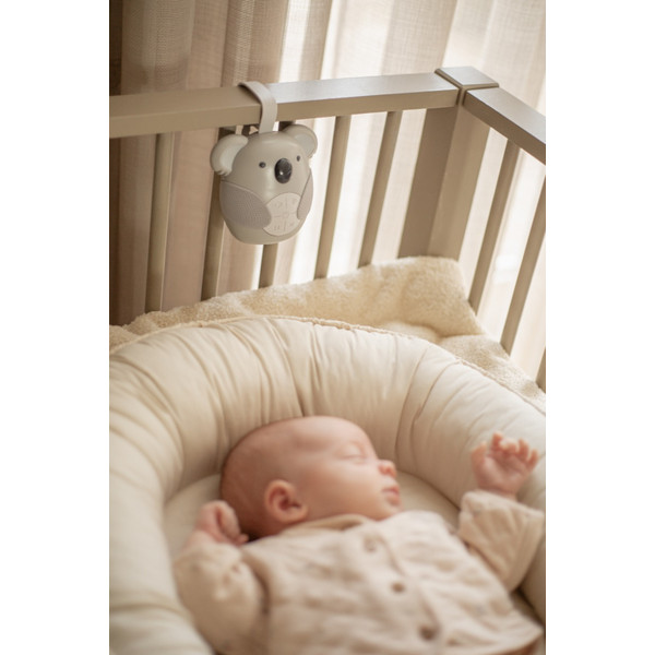 Eco Toys Koala Muziekdoosje