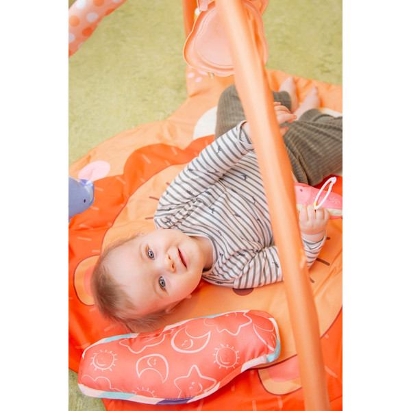 Eco Toys Leeuw Activity Gym Speelkleed HC506629