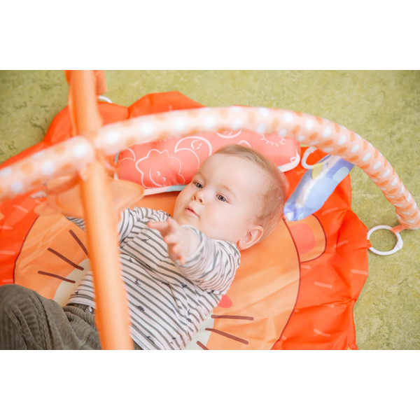 Eco Toys Leeuw Activity Gym Speelkleed HC506629