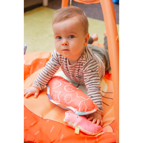 Eco Toys Leeuw Activity Gym Speelkleed HC506629