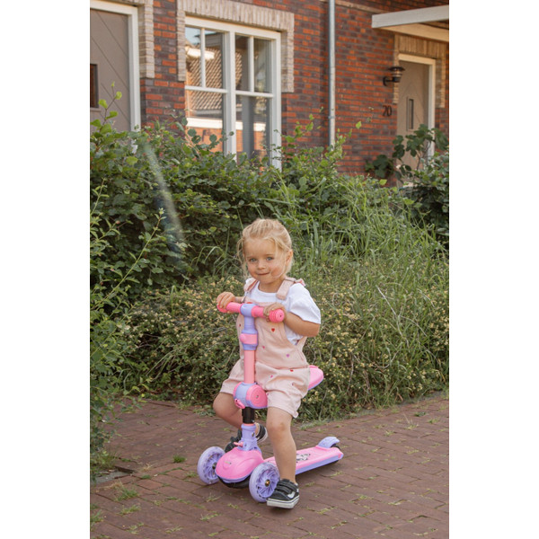Eco Toys Lisa Roze 2-in-1 Step/Loopfiets