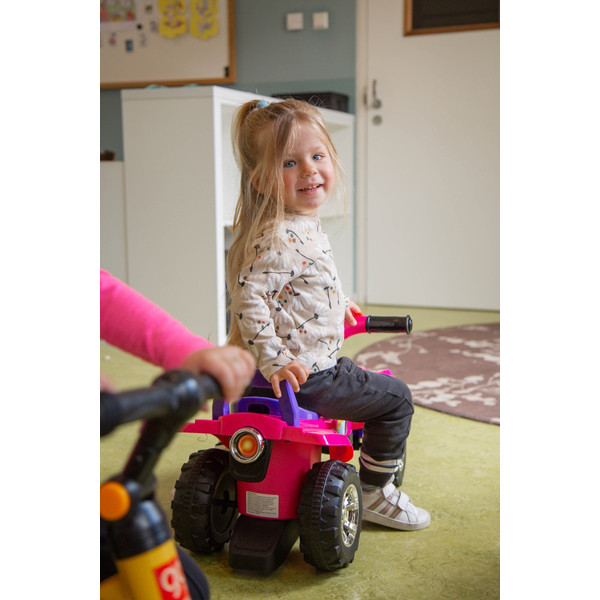 Eco Toys Quad Pink Loopauto 551