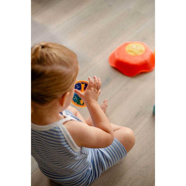 Eco Toys Schildpad Balansstenen met Licht en Geluid